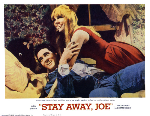 Stay Away Still - Item # VAREVCMSDSTAWEC005