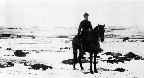 Wounded Knee-Photograph Showing The Grim Aftermath Of The Massacre Of Sioux Indians & Us Cavalry Soldiers At Wounded Knee. - Cpl ArchivesEverett Collection History - Item # VAREVCHBDWOKNCL002