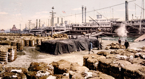 Cotton Bales On The Levee History - Item # VAREVCH4DNEOREC005