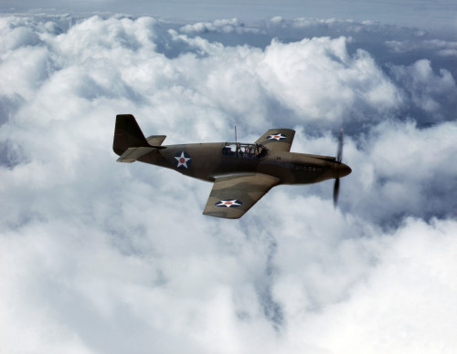 North American Aviation'S P-51 Mustang Fighter History - Item # VAREVCHCDWOWAEC011
