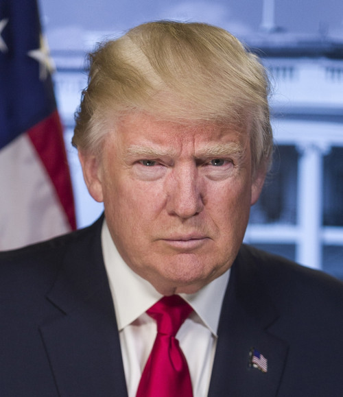 President-Elect Donald Trump In A Portrait Released By The White House On Jan. 20 History - Item # VAREVCHISL046EC336