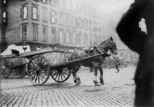 New York City History - Item # VAREVCHCDLCGBEC722