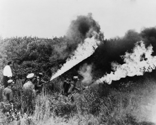 U.S. Marines Under The Police Direction Turn Flame Throwers On A Field Of Marijuana Plants In Chicago. August 15 1958. History - Item # VAREVCHISL022EC049