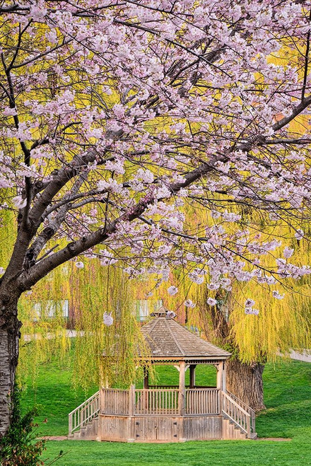 Quiet Retreat Poster Print by Chuck Burdick - Item # VARPDXB3580D