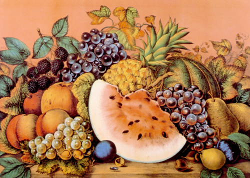 Garden History - Item # VAREVCS4DFOODEC005