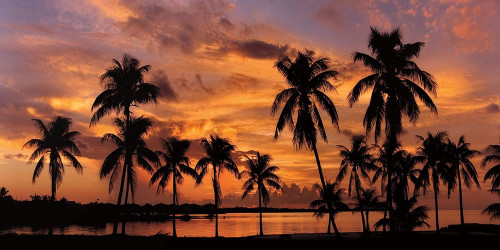 Tropical Sunsets I Poster Print by Mike Jones - Item # VARPDXPOD60420