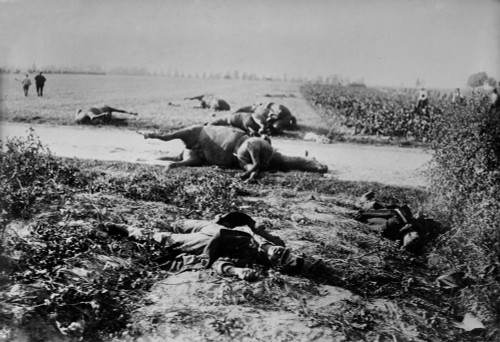 World War 1. Dead Soldiers And Horses In A Field After The Battle Of Haelen Which Was Fought By The German And Belgian Armies On August 12 History - Item # VAREVCHISL034EC823