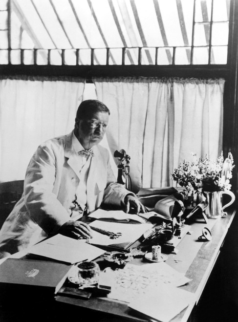 President Theodore Roosevelt--Year Unknown. Csu Archives History - Item # VAREVCHBDTHROCS001