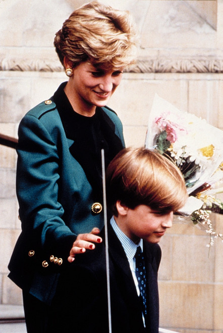 PrincessLady Diana Spencer History - Item # VAREVCPSDDISPEC005