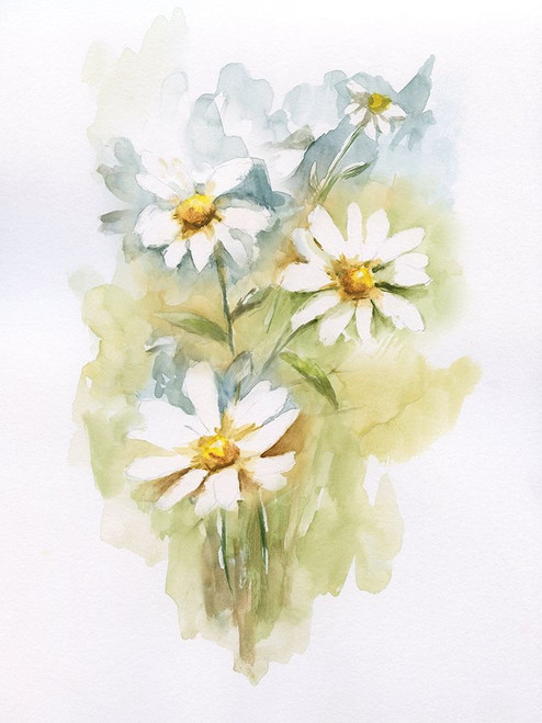 Wild Daisy Ii Poster Print by Nan - Item # VARPDX19328