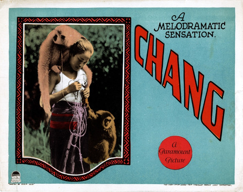 Chang Still