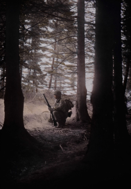 U.S. Soldier Pausing In A Wooded Area During The First Ten Days Of The Battle Of The Bulge. Dec. 12-22 History - Item # VAREVCHISL037TX262