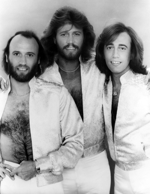 The Bee Gees History - Item # VAREVCPBDBEGECS003