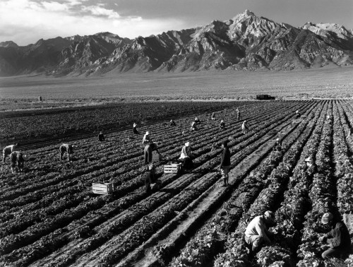 World War Ii History - Item # VAREVCHCDLCGCEC836