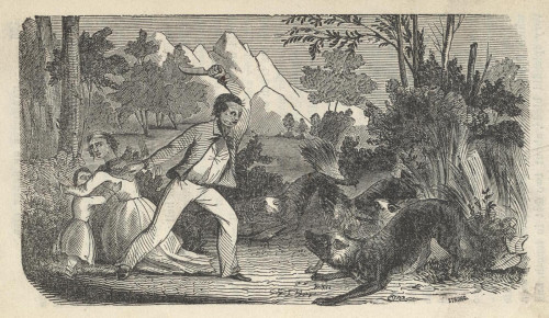 Fugitive Slave Henry Bibb With His Wife And Child Are Confronted By A Wolf Pack As They Flee Through The Back Woods Of Northwest Louisiana. Engraving Taken From The Book History - Item # VAREVCHISL009EC242