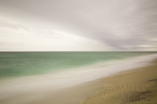 Nantucket Ii Poster Print by Aledanda - Item # VARPDX38039
