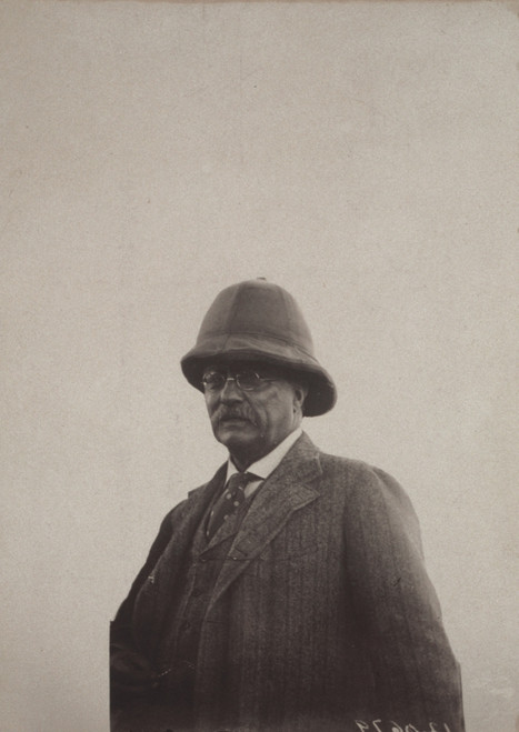 President Theodore Roosevelt History - Item # VAREVCHCDLCGBEC451