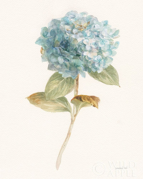 Garden Hydrangea Poster Print by Danhui Nai - Item # VARPDX30353