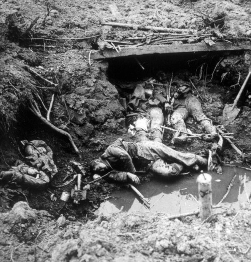 World War I History - Item # VAREVCH4DWOWAEC146