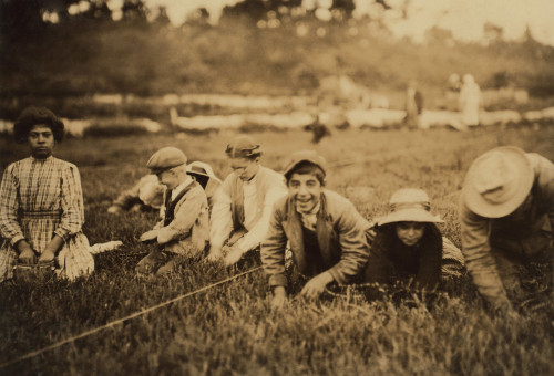 Syrian-Lebanese American Children Working As Cranberry Pickers In East Wareham History - Item # VAREVCHISL017EC034