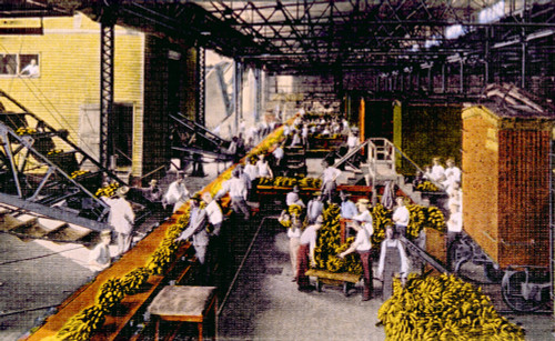 Bananas Being Unloaded In New Orleans History - Item # VAREVCS4DFOODEC003