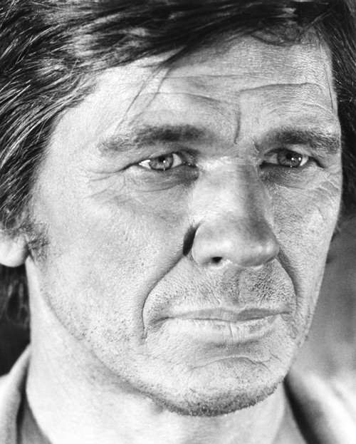 Once Upon A Time In The West Portrait