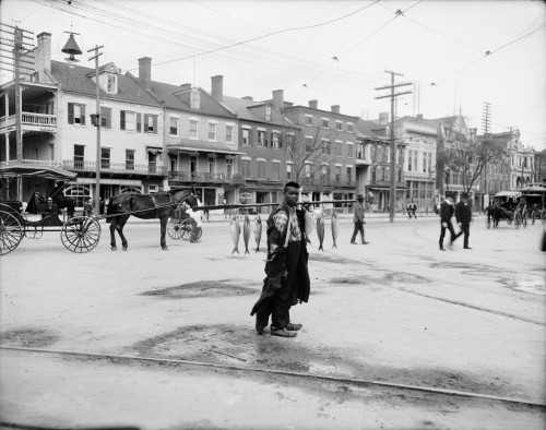 African American Man Selling Fish History - Item # VAREVCHCDLCGBEC415