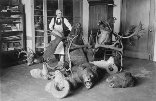 Taxidermy History - Item # VAREVCHCDLCGBEC880