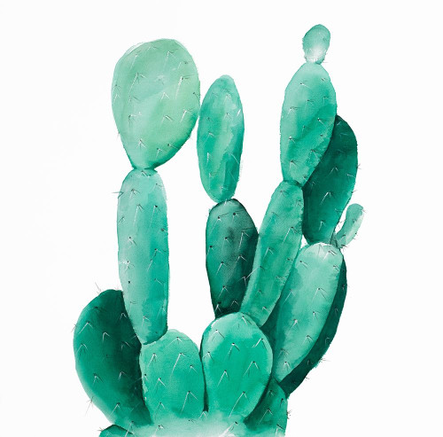 Watercolor Paddle Cactus Poster Print by Atelier B Art Studio