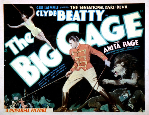 The Big Cage Still