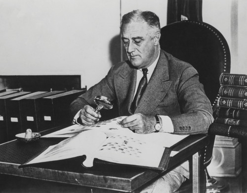 President Franklin Roosevelt With His Stamp Collection At The White House. May 5 History - Item # VAREVCHISL035EC155