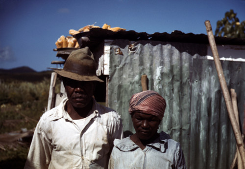 Puerto Rico. Tenant Farmers By Their House History - Item # VAREVCHCDLCGBEC986
