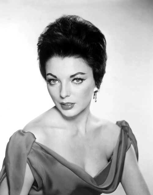 Seven Thieves Portrait - Item # VAREVCMBDSETHFE022