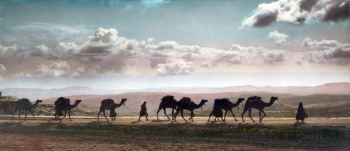 Camel Caravan On Mount Of Olives History - Item # VAREVCHCDLCGCEC873