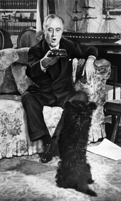 Fdr Presidency. Us President Franklin Delano Roosevelt Training His Dog History - Item # VAREVCPBDFRROEC073