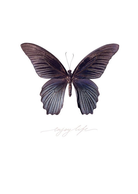 Enjoy Life Poster Print by TypeLike - Item # VARPDXIN99159