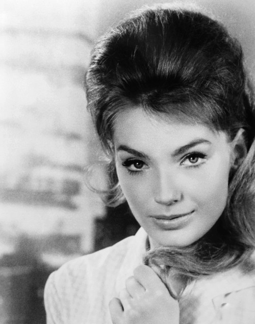 The Password Is Courage Portrait - Item # VAREVCMBDPAISEC054