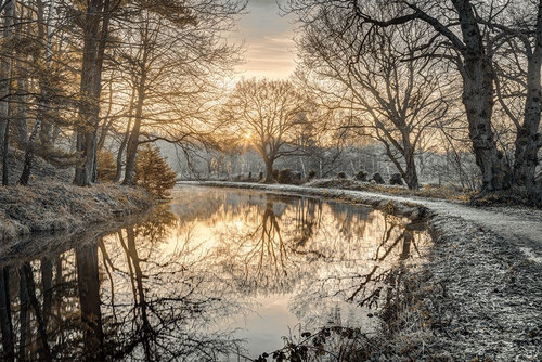Frosty Morning Poster Print by Assaf Frank - Item # VARPDX50158