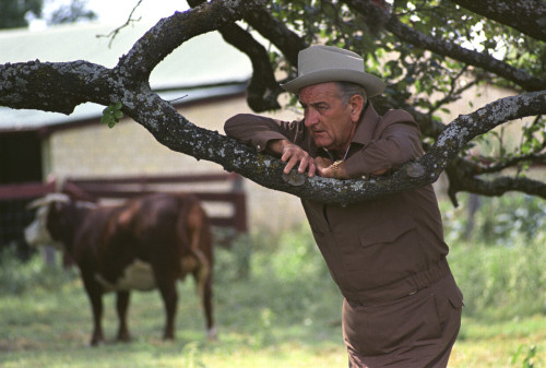 President Lyndon Johnson At The His Texas Ranch Near Stonewall History - Item # VAREVCHISL033EC122