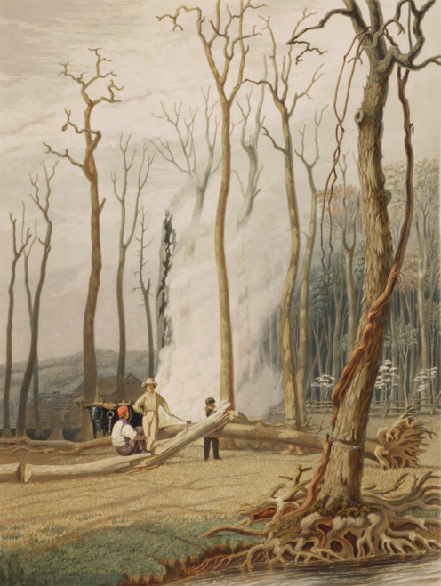 Men Cutting And Burning 'Girdled' Tree To Clear Land On The American Frontier In 1841. Girdling History - Item # VAREVCHISL021EC156