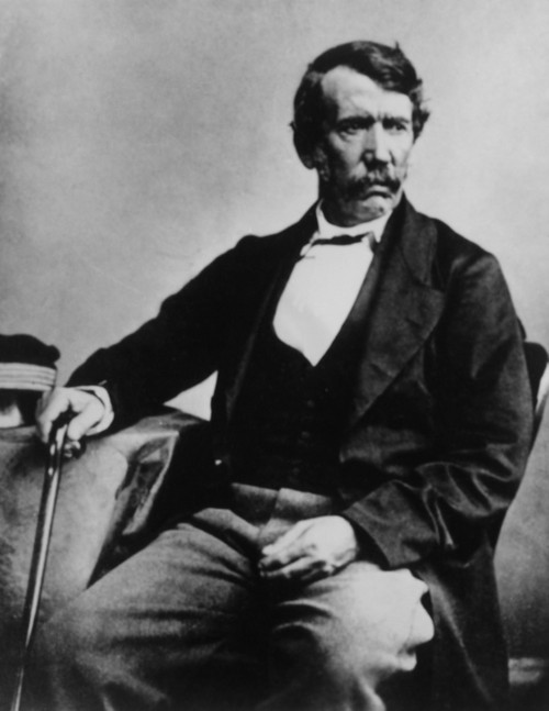 David Livingstone History - Item # VAREVCPBDDALICS001