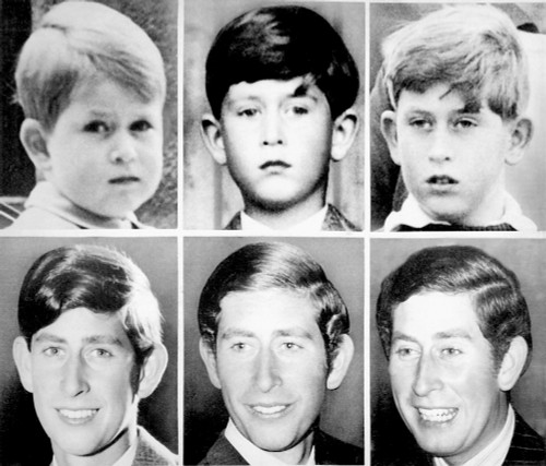 Prince Charles History - Item # VAREVCPBDPRCHEC001