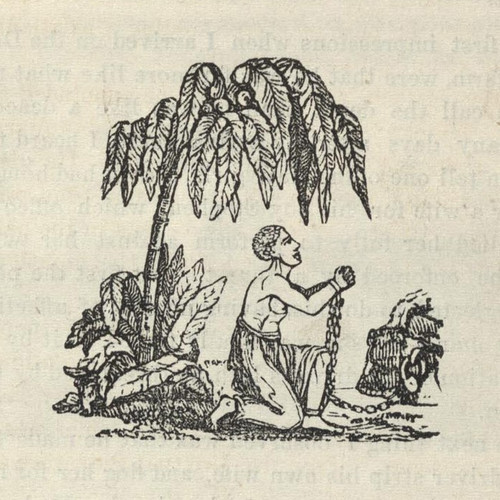 Am I Not A Man And A Brother' The Trademark Image Of The British Abolitionists History - Item # VAREVCHISL009EC237