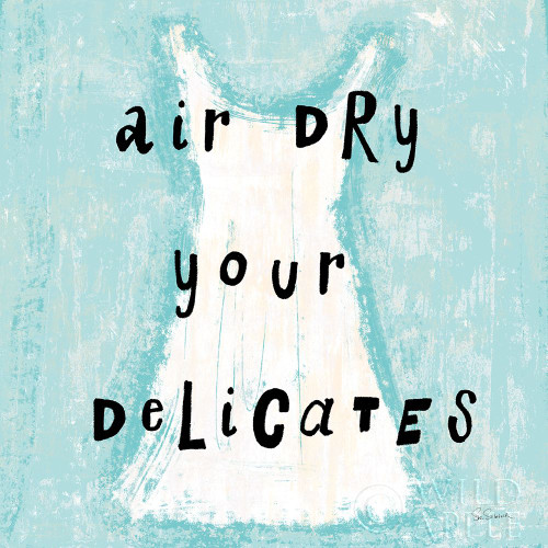 Laundry Rules Vi Poster Print by Sue Schlabach - Item # VARPDX35902