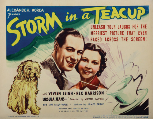 Storm In A Teacup Still