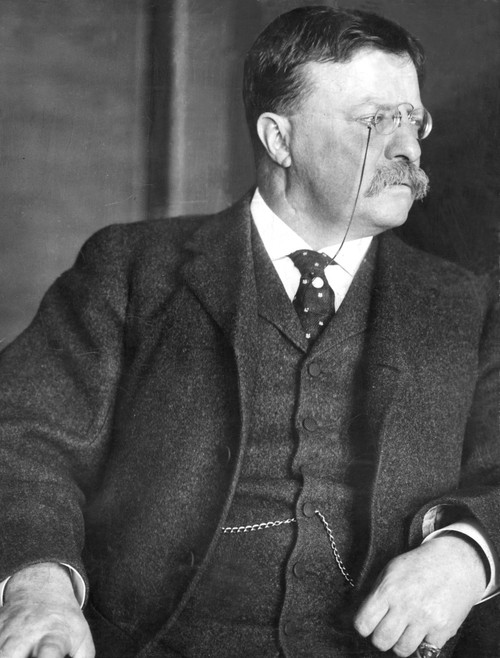 Theodore Roosevelt In His Private Office At The Editorial Offices Of Outlook On 2-23-12. Courtesy Csu Archives  Everett Collection History - Item # VAREVCHBDTHROCS002