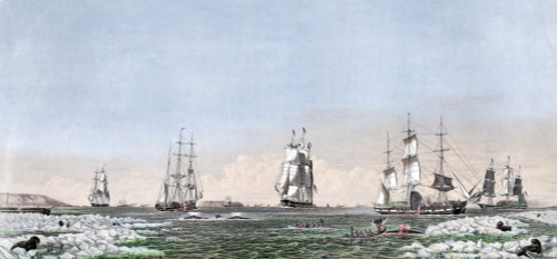 Whaling. Right Whaling In Behring Straits & Arctic Ocean With Its Varieties. Colored Engraving 1871 History - Item # VAREVCHCDLCGCEC859