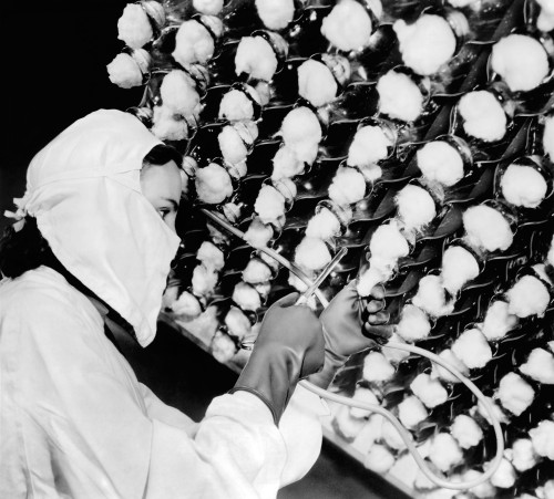 Manufacturing The New Wonder Drug History - Item # VAREVCCSUA000CS873