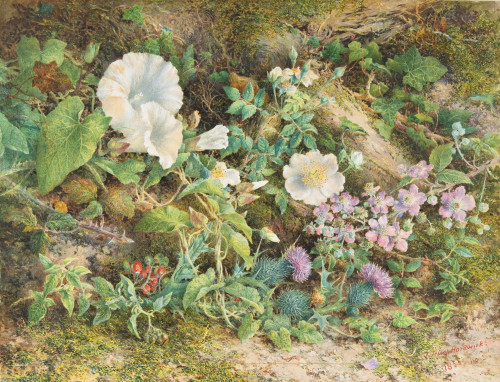 Flower Study Fine Art - Item # VAREVCHISL045EC311