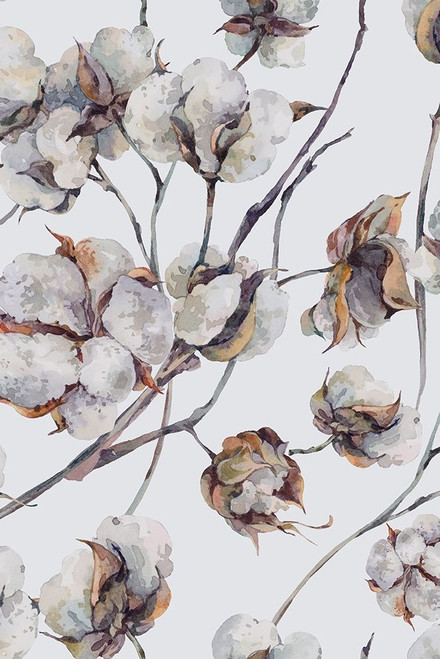 Cotton Ii Poster Print by Incado - Item # VARPDXIN99098